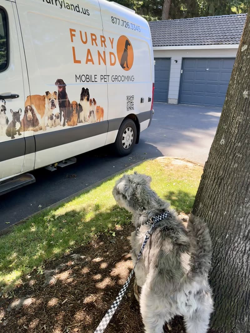 The Furry Land mobile grooming van on a Portland driveway with a schnauzer waiting on a lead